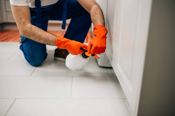 Pest Control Services